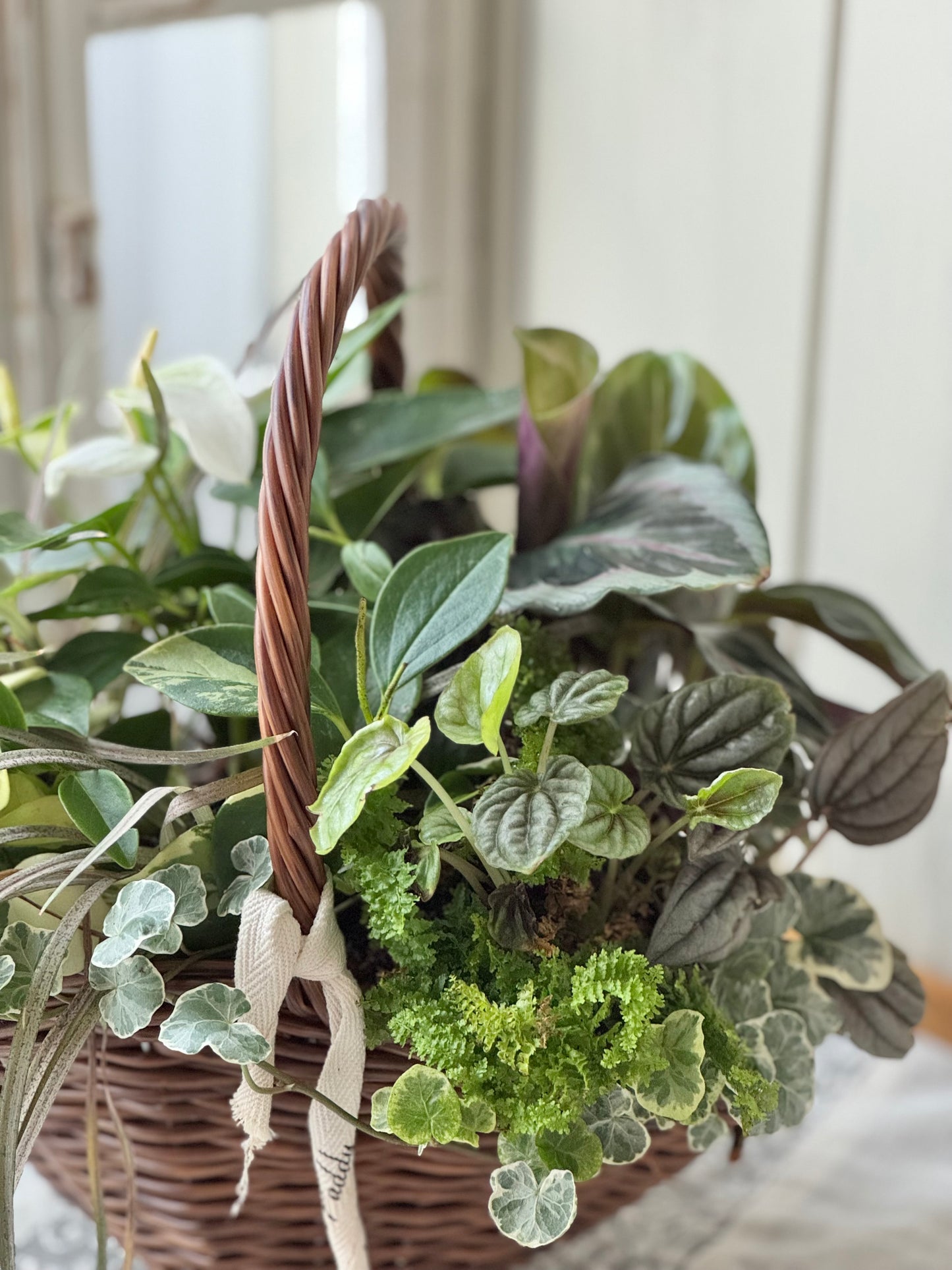 『アンテｲークかごに詰め込んだグリーンの贈り物』観葉植物とアンスリュームのギャザリング