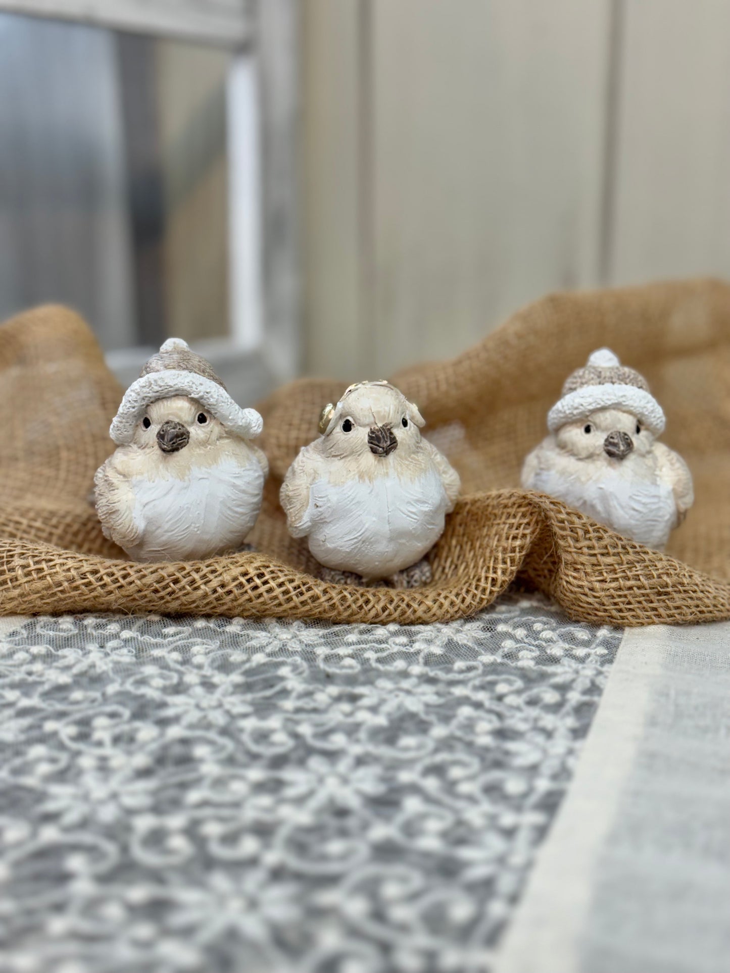 ノエルバードキャップ【カルナック】３羽セット