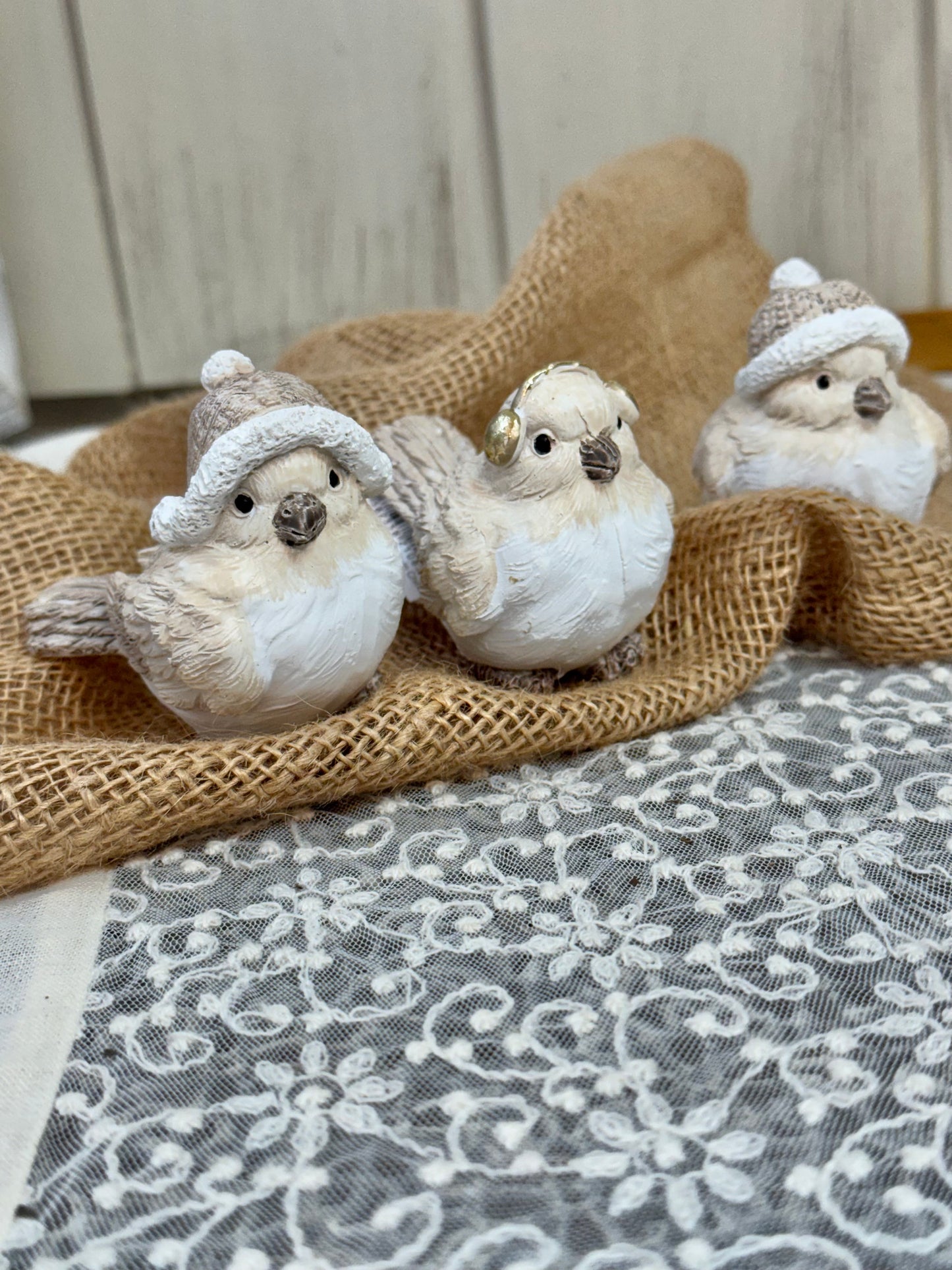ノエルバードキャップ【カルナック】３羽セット
