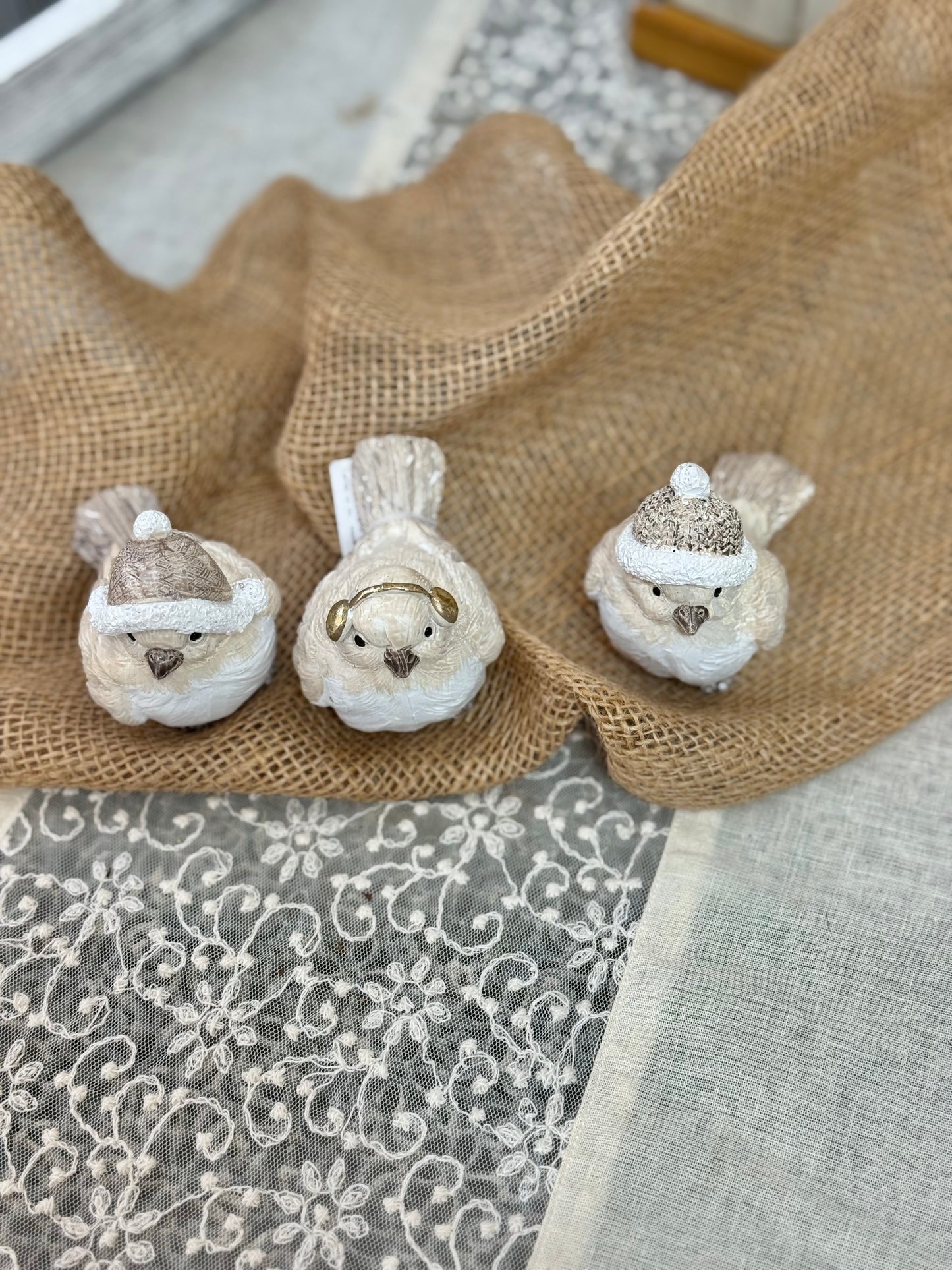 ノエルバードキャップ【カルナック】３羽セット